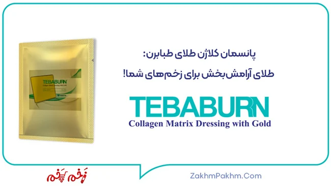 پانسمان سوختگی کلاژن طلا طبابرن تریتا